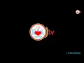 Download Lagu LOSAMBO LA NGAI