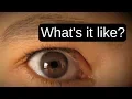 See through My Eyes A Low Vision Simulation