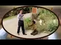 AMPUNILAH DOSA KAMI YA TUHAN