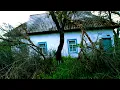 Download Lagu Живу одна на окраине села | Мои сельские будни. Какой у нас лес! В счастье и спокойствии