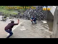 Download Lagu किस्मत से मिलता है ऐसा मौका // luck by chance चढणीचे मासे ! Traditional Fishing Technique