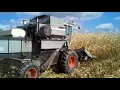 Gleaner F2 Corn