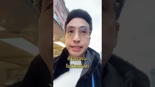  ผักชนิดใดที่ช่วยบรรเทาอาการวัยทองจากความไม่สมดุลของเอสโตรเจน และมีสารสำคัญอะไรที่ช่วยได้ 