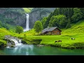 Download Lagu 🍃 Спокойная Музыка и Природные Пейзажи | Отдых и Полное Расслабление