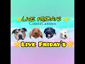 ComixCanines Live Fridays EP1 BUSINESS w Jim s Pet Patrol Bathurst