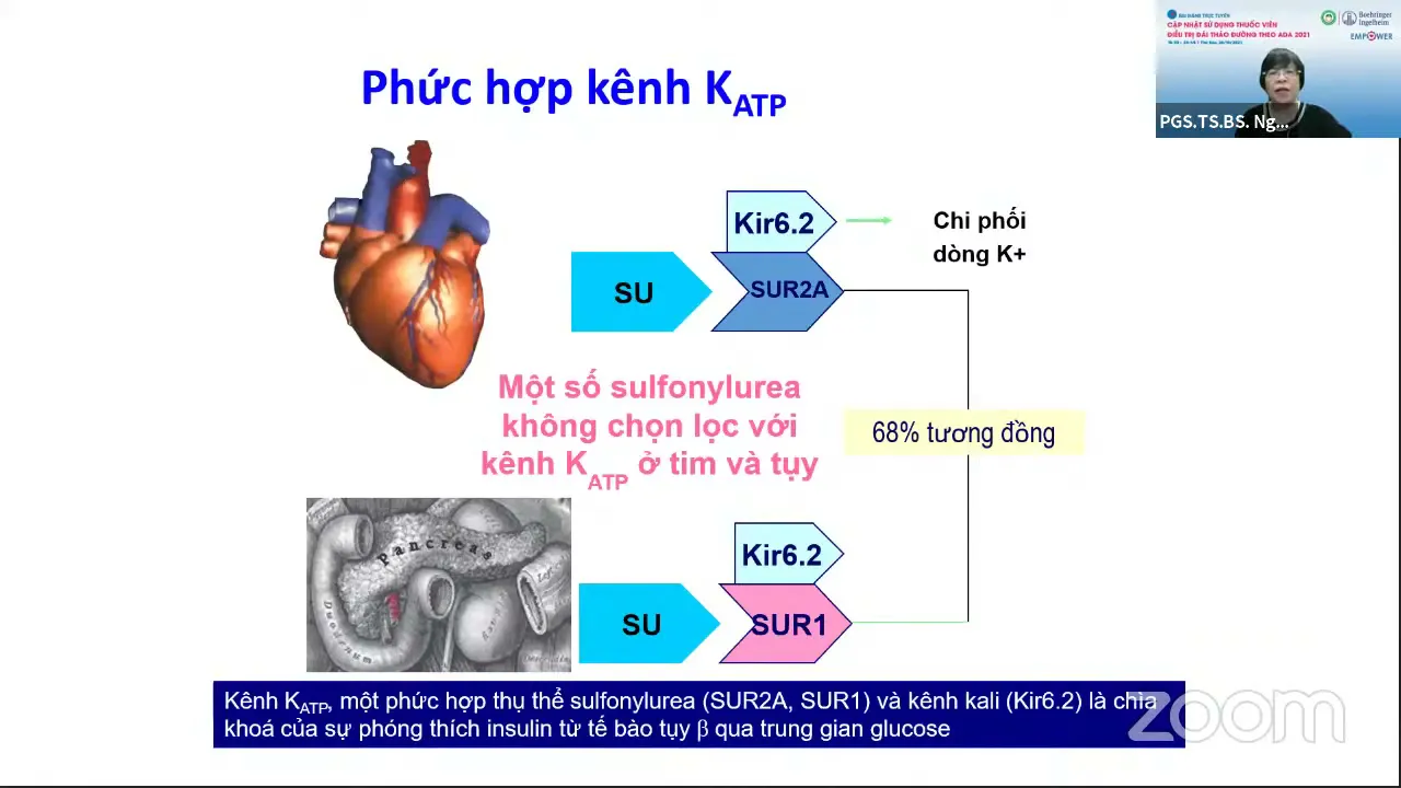 Cập nhật sử dụng thuốc viên điều trị đái tháo đường theo ADA 2021