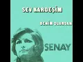 Sev Kardeşim