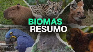 O que é BIOMA? (TUDO que cai no ENEM)