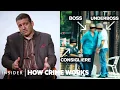 Download Lagu How The New York Mafia Actually Works | How Crime Works | Insider