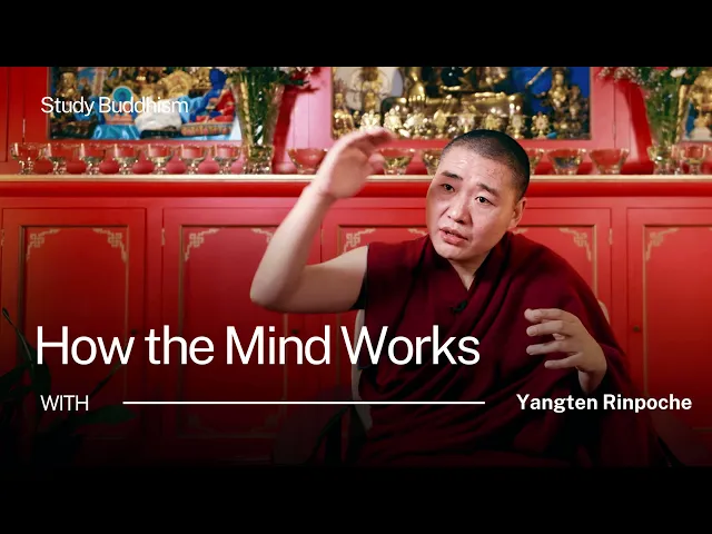 How Buddhism Trains the Mind (Not Blind Belief) | Yangten Rinpoche