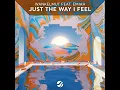 Just The Way I Feel (Extended Mix)