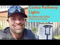 Costco Solar Pathway Lights by Naturally Solar Unboxing and Install
