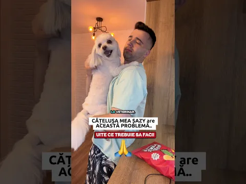 CĂȚELUŞA MEA ȘAZY ARE PROBLEMA ASTA..😥Uite ce trebuie sa faci! #shorts #romania