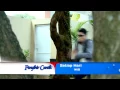 Download Lagu Promo Penyihir Cantik (16 Maret 2015)