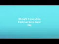 Fiona Apple - Paper Bag (Lyrics)