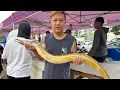 Download Lagu PASAR PAGI ORANG ASLI DAH ADA TAPAK BARU // IKAN,KETAM SEMUA SEGAR DARI LAUT // 