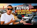I Investigated the CAR AUCTION Business in the USA