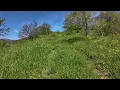 Enya - Flora's Secret (Extended) 4K