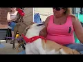 Meet Mama T ADOPTED