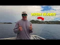 I Flipped 100 Rocks on a TROPICAL ISLAND, Here's what I Found..