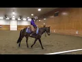 2022 International Challenge Elaina Enzien & LNR Bad to the Boon (Charlie) B1O