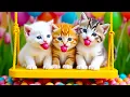 Download Lagu ANAK KUCING MEONG MEONG - SI MEONG KUCING LUCU ❤️ Lagu Anak Indonesia Viral Terbaru