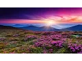 Download Lagu 3 Hour Sleeping Music, Relaxing Sleep Music, Calm Music, Deep Sleep Music, Sleeping Music, ☾☆001