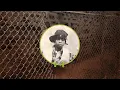 Vicious - Freaks (feat. Doug E. Fresh)