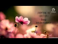 Download Lagu EVERYTHING I DO I DO IT FOR U-Brandy -lirik dan terjemahan