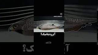 گنگعلی شوتی کلیپ پارس 405 خرچنگی حسبی الله موزیک اینستا 