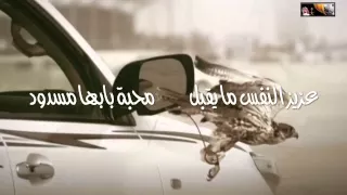شيلة عزيز النفس دندنها