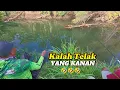 Download Lagu Mancing di muara dengan menggunakan umpan lumut campur tepung,Hasilnya Langsung saya bakar bakar 