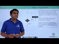 Java - Loop Control