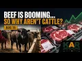 Beef Is Booming So Why Aren t Cattle Kansas Ag Report August 15 2026