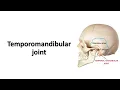 Download Lagu Temporomandibular joint (TMJ). Prof. Dr. Md. Ashfaqur Rahman