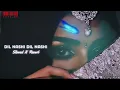 Lagu Dil nashi Dil Nashi [Slowed X Revarb] // Lofi_wR