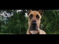 Download Lagu Marmaduke - Trailer HD
