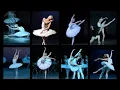 Download Lagu Collection of “Swan” in Kirov/Mariinsky - Lopatkina, Makhalina, Asylmuratova, Mezentseva, Vishneva…