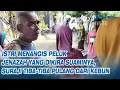 Viral Istri Menangis Peluk Jenazah yang Dikira Suaminya, Suraji Tiba tiba Pulang dari Kebun