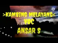 Download Lagu KAMBING MELAYANG VOC. ANSAR S