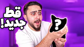 جبت قط جديد وردة فعل قطوس كانت صدامة   دندنها