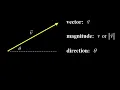 Physics vector introduction and geometric vector addition commutativity colinear vector addition