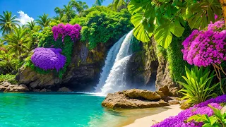 Música Tierna Calma El Sistema Nervioso Música Terapéutica Para El Corazón Y Los Vasos Sanguíneos 