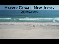 Harvey Cedars New Jersey - Community Spotlight