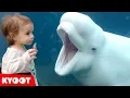 Download Lagu Girl SPOOKED By A Beluga Whale 🐳 Funny Kids at the Aquarium