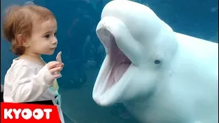 girl spooked by a beluga whale funny kids at the aquarium