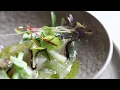 Download Lagu Hamachi, Oyster, Cucumber, Kombu and Kyona Mustard Cress by Hans van Wolde (Brut 172)