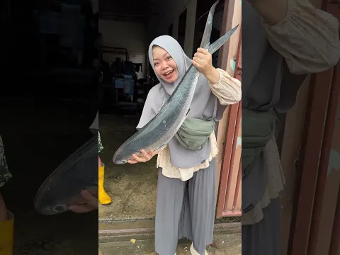 Ikan bandeng segede bayi 😱. Enak Masak apa ya?