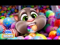 Lagu Talking Tom 🔴 BRAND NEW EPISODES 🐱 Super Toons for Kids