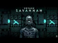 Download Lagu Voyage - Savannah (Original Mix)